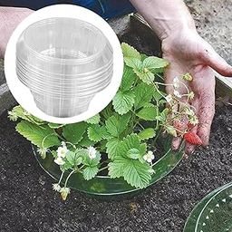 Enakshi® Snail Plant Collar Collar Transparent Garden Cloches for Indoor Pots Planter Transparent|Yard, Garden & Outdoor Living | Gardening Supplies | Weed & Pest Control | Other Weed & Pest Control-image-9