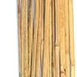 Thin Bamboo Sticks Plant Support 2 ft (12 Sticks)-18