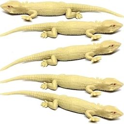 TOYSFAST 5 PCS Chipkali Toys Prank Lizard Toy Real Looking Chipkali Fake Toy (A652)-29