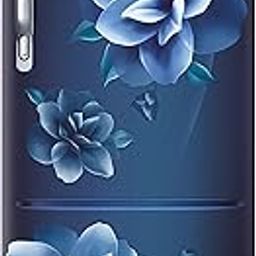 Samsung 223L 3 Star Inverter Direct-Cool Single Door Refrigerator Appliance (RR24C2723CU/NL,Camellia Blue)-image-13
