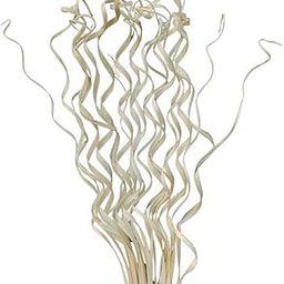 IDIKA Living Curly Palm Open Dried |Bunch of 25 Stems |Leaves for Home Decor & Floral Arrangements | Natural, Golden & Shiny | Perfect for Vases, Bouquets & DIY Crafts(White)-image-4