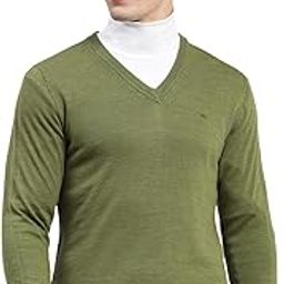 Mens Green Solid V Neck Full Sleeve Pullover_1240507VN-2456-image-64