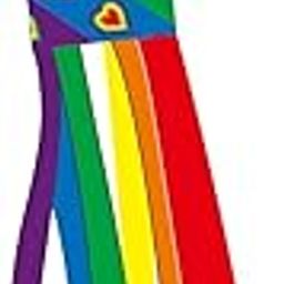 Club Bollywood®Hanging Windsock Reliable Tel Multicolor Durable for Home Decor Style A|Home & Garden | Garden D?©Cor |1 Windsock-image-109