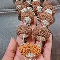 USPTO Real Beads 1 to 21 इन्द्राक्षी माला रुद्राक्ष माला महादेव की कृपा वाली 1 to 21 Mukhi Rudraksha Mala Original Certified Indrakshi Mala Indra Mala Rudraksha Nepal Gauri Shankar Ganesh Indraksha Mala 1-21 With Trijuti Nepal 1-21 Mukhi Indrani Mala With Trijuti Indrani Mala wWth Trijuti Gold Capping Indrani Mala With Trijuti 1 से 21 मुखी रुद्राक्ष माला इन्द्राक्षी माला इन्द्राणी माला शाही इन्द्राणी माला 1 21 इन्द्राणी माला इंद्रा माला-5