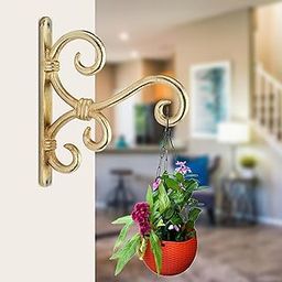 Growfynd ® Metal Wall Hook Hanging Plant Bracket Gold Polished | Decorative Straight Plant Hanger for Pots, Bird Feeders, Planters, Lanterns, Cotton, Wind Chimes Indoor Outdoor (Pack of 1)-image-83