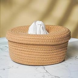 Resin Woven Tissue Box Cover – Decorative Boho Tissue Holder for Bathroom, Living Room or Office – Natural Rattan Look, Eco-Friendly, Oval Shape (Beige)-9