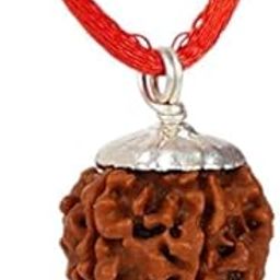 Trinetra Gems Nepali 6 Mukhi Rudraksha with Pure Silver Capping Premium Six Face Rudraksha Original Certified by IGL Chah Mukhi Rudraksha for Men & Women छः मुखी रुद्राक्ष Tula Rashi Rudraksha-0