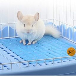 Sage Square Comfortable Cage Polyvinyl Chloride Floor Mat for Healthier Paw of Rabbit/Guinea Pig/Ferret/Dog/Cat/Kitten (1 Piece, Blue, OneSize)-0