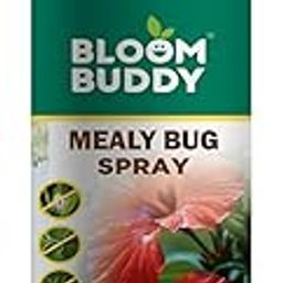 Bloom Buddy Plant Wellness Spray – 250ml | Natural Leaf Care Formula for Indoor & Outdoor Plants | Supports Clean, Healthy, and Vibrant Growth-image-48