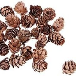MERISHOPP®15x30sets Pine Cone Pineal Nuts Party Decorations Adornments Vase Bowl Fillers|Crafts | Multi-Purpose Craft Supplies | Crafting Pieces | Pine Cones-image-19
