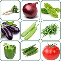 15 variety vegetable seeds combo pack with instruction manual.-image-13