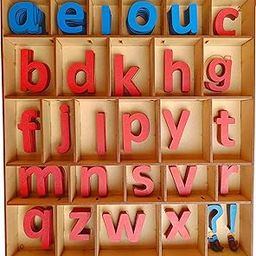 Cryo Craft Montessori Preschool Movable Lower Case Letter/Alphabets | 12 Set of Vowels and 6 Set of Consonants with Wooden Organizer Box,for 24 months and up-4