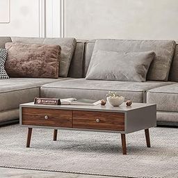 ELMSPIRE Paris Solid Wood Coffee Table/Central Table - Elegant and Functional Centerpiece for Living Room, Hallway, Bedroom, and Office Décor - Grey Finish, 38 x 22 x 14 Inches-image-60