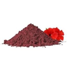 DRIED FLOWER WHOLE AND POWDER-image-46