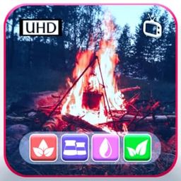 Warm Campfire Glow - Relaxing Fire Sounds & Ambience Screensaver-image-12