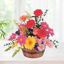 FLORANET Beautiful bouquet Of 5 carnations, 7 gerberas & 9 roses bursting with color and joy For Anniversary, Birthday Gift, Wedding Gift, Congratulations Gift, Mother's Day Gift (Same Day Delivery)-image-47