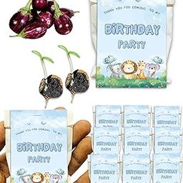 Human Birds International - Seed Balls Birthday Gift, Jungle Theme Return Gift, Plantable seed balls of Vegetables, (2 Seed Balls/Packet) - (Pack of 10) (Birthday Jungle Theme 1, Brinjal)-image-93