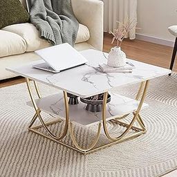 Crown Art Shoppee Round Storage Coffee Table Contemporary Coffee Table for Living Room Wood Top with Metal Frame-White Gold Square-image-70