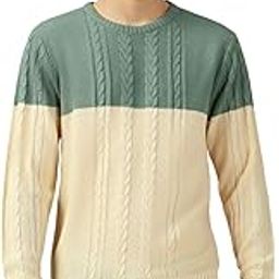 Men Multi Colorblock Slim Fit Full Sleeve Crew Pullover-image-17