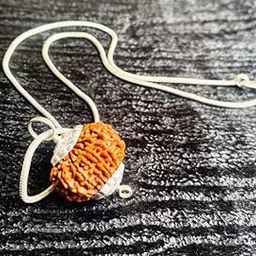 Gemz Mine Dasmukhi Rudarrasch Das Mukhi Vishnu Rudraksha 10 Mukhi Rudraksha Original Certified Ten Face दस मुखी रुद्राक्ष 10 Face Dus Mukhi Silver Pendant Rudraksh for Men & Women Wearing Purpose-picture-5