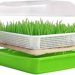Hydroponics Tray Plastic to Produce Green Fodder Maize Wheat Grass with System Stand Plant Growing Trays, Black Plastic, 5-Pack, Diamond Pattern, Drainage Holes, Seedling Starter Trays-image-22