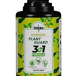 Chipku Ayurvedic Plant Guard 250ml Neem Tulsi Eucalyptus Spray Formulation Concentrate | 100% Organic Plant Protector | Powerful Pest Control for Indoor & Outdoor Use For Making 50 Neem Spray Bottles-picture-30