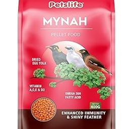 Petslife Mynah Bird Food, 400g, Comlete Nutrition with Omega 3 & 6 for Vibrant Feathers, Strong Immunity & Balanced Nutrition for Healthy Mynah-image-72
