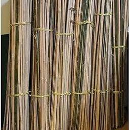 Bamboo Trellis for Plant Support 3 feet (11 Sticks)-image-66