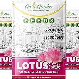 Go Garden Lotus Seed for Planting - Pack of 20 Seed | High-Germination Lotus Seeds for Water Gardening, Home Garden, Ponds, and Outdoor Decor-image-20