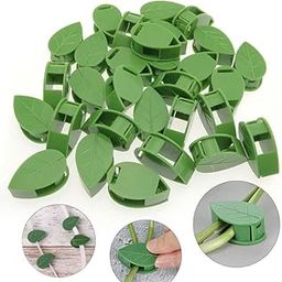 10Pcs Climbing Fixing Clip Rattan e Bracket Fixed Buckle Self-Adhesive Fixer Stent Sticky Hook Garden Supplies-image-98