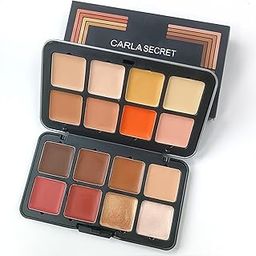 PROFESSIONAL MAKEUP CAMOUFLAGE HD PALETTE (Cream Concealer,Blush, Highlighter)-41