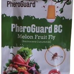 BC Bactrocera Cucurbitae Lure | Melon Fruit Fly Control for Agriculture |Pack of 5 | 40-45 Days Effective Life | Eco-Friendly Pest Solution (Traps Not Included)-21