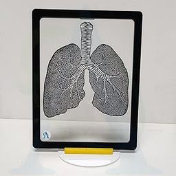 Anatomical Lungs Laser-Cut Acrylic Artwork | Anatomical Structures | Neurology Gift | Doctor | Medical School Graduation | Therapist Art-27