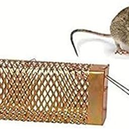 Webbee Craft Iron Rat Trap/Rodent cage/Mouse Control for Home-image-23