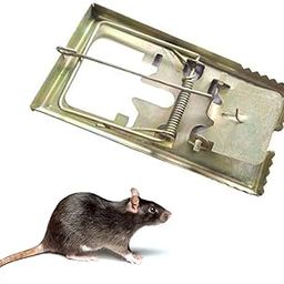 Rat Trap cage for Home Trap cage Small Size Powerful Rat Killer for Home-16