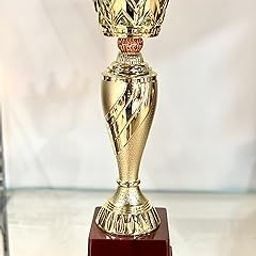 TROPHY JUNCTION Metallic Fiber Crown Trophy for Winner, Fashion Show (Gold)-image-56