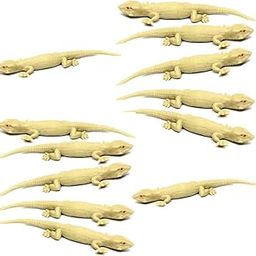 TOYSFAST Lizard Real Looking Chipkali Prank Toy for Kids (Pack of 12 PCS, B259)-image-24