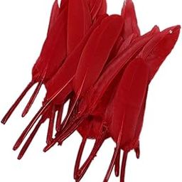 Pack of 50 Dyed Goose Feather Jewelry Decor Headgear DIY Crafts 4-6inch - red-image-35
