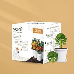 Valar Broccoli Growing Kit | DIY All-in-One Home Gardening Set (Pack of 1 - Big) |Organic Seeds + Bio-Fertilizers + 24x7 Support. (9x9 Grow Bag)-image-90