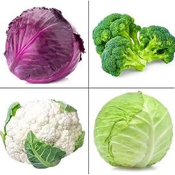 4 Types of Desi Vegetable Seeds with High Germination, 2 Types Cabbages, Broccoli & Cauliflower, Home Gardening Seeds for Nutritious-image-80