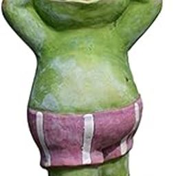 HEAVENGLOW Resin Garden Lights Solar Powered Frog Shaped Stakes for Outdoor Walkway Warm Shine-image-20