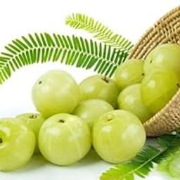 Hybrid Gooseberry Amla Grafted Plant-image-76