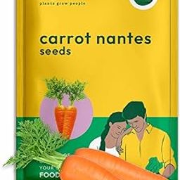 UGAOO Improved Carrot Nantes Vegetable Seeds (Red, Pack of 2g)-image-19