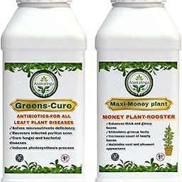 Maxi Money plant booster+Greens plants cure Combo|Complete Leaf Care Solution For Healthy,Disease-Free,Fast-Leafy plants|Promotes Fast and Healthy Growth &growth regulator (250ml+250ml)-image-67