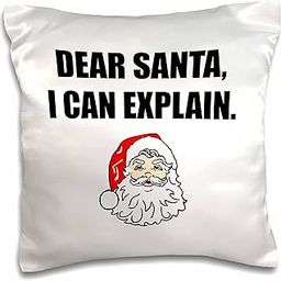 3dRose Tory Anne Collections Quotes-Dear Santa I Can Explain (PC-300974-1) Pillow Case, White-2