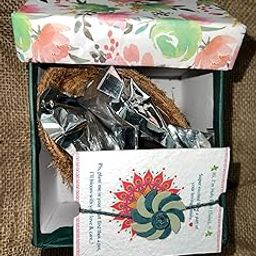 Plantable Seed/Bio Degradable/Eco-friendly Handmade Rakhi for Rakshabandhan with Growkit(coirpot, cocopeat,seeds,soil, rakhi) - (Marigold) For Kids Brother, Bhaiya, environment lovers-image-2