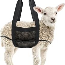 GINDOOR Calf Sling for Weighing Animals - Calf Scale Hanging Weight Scale Sling with Adjustable Straps for Weighing Calves Lambs Goats Baby Alpacas Newborn Livestock Dogs-picture-17