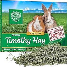 Small Pet Select 2nd Cutting Perfect Blend Timothy Hay Pet Food for Rabbits, Guinea Pigs, Chinchillas and Other Small Animals, Premium Natural Hay Grown in The US, 2 LB-image-4