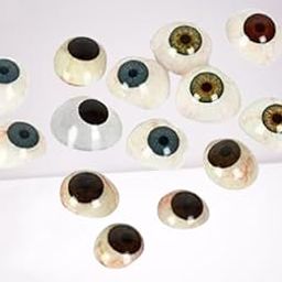 Eye Prosthetic Eye Ocular Prosthesis Color Mixed Color pack of 12pcs, 2pair each-picture-20