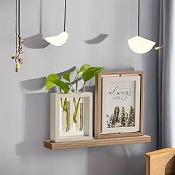 Cortina Wooden Rotatable Double Sided Designer Photo Frame With 2 Planter Tubes - For Table Top Decoration - Photo Frame for Home, Office & more - 4x6 Inch - Brown - 1 Pc-image-47